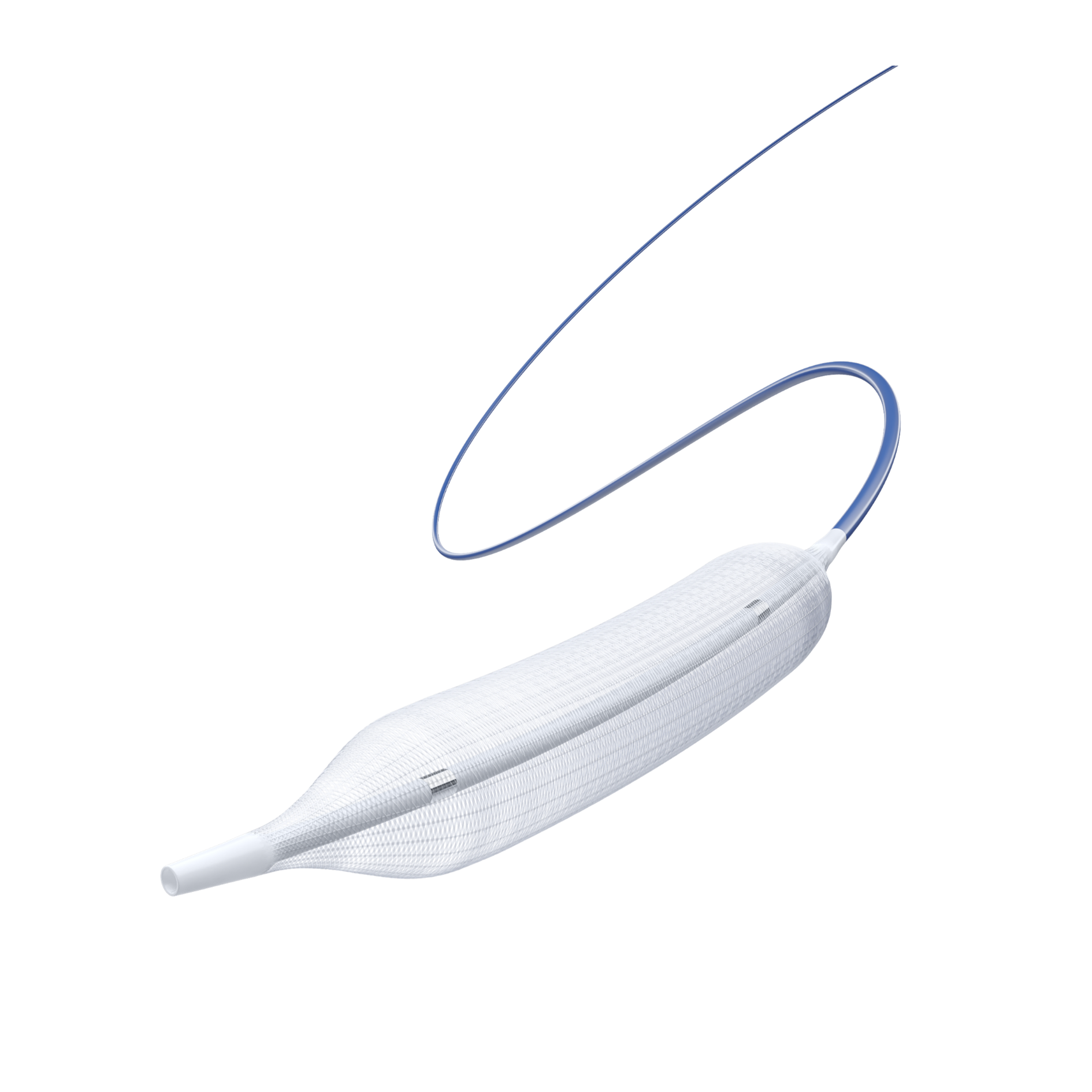 SeaDragon®/海龙™外周球囊扩张导管